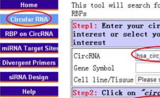 clip_image014.jpg https://static.ribobio.com/wp-content/uploads/2018/07/tools_bb.jpg