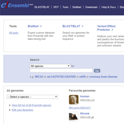 Ensembl