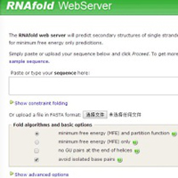 RNAfold web server