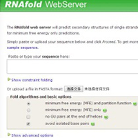 clip_image020.jpg RNAfold web server