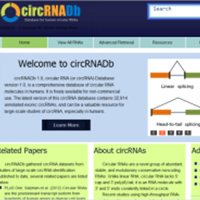 CyrRNADB数据库