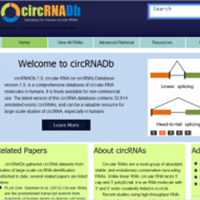 clip_image024.jpg CyrRNADB数据库