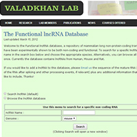 The Functional lncRNA Database