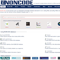 clip_image033.jpg NONCODE