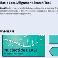 NCBI/ BLAST
