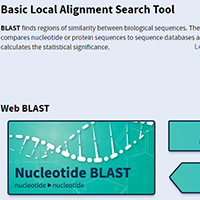 clip_image035.jpg NCBI/ BLAST