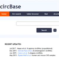 circRNA检索数据库