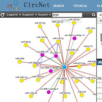 clip_image046.jpg ceRNA功能研究数据库:circNet