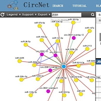 ceRNA功能研究数据库：circNet