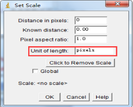 Set Scale