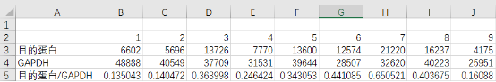 IntDen-Excel