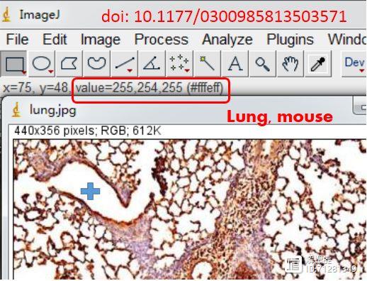 http://imgi101i120.360doc.com/DownloadImg/2020/08/2711/200426363_7_20200827114246739_wm?Expires=1643043536&Signature=jCMAaUhLr1JYF%2F57DsrU0%2BObUTY%3D&domain=109