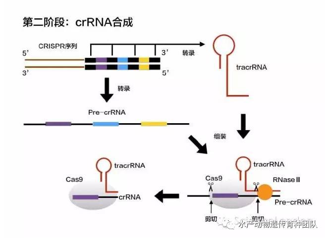 https://www.jingege.wang/wp-content/uploads/2020/12/2020121801530461054862370.jpg