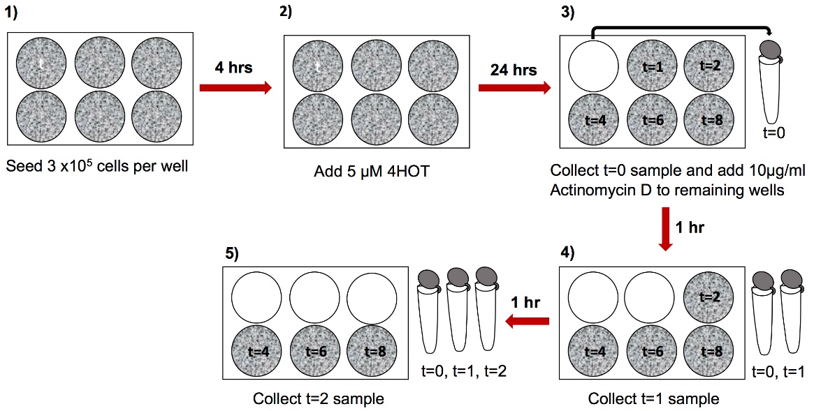 https://zh-cn.bio-protocol.org/attached/image/20181031/20181031184841_9868.jpg