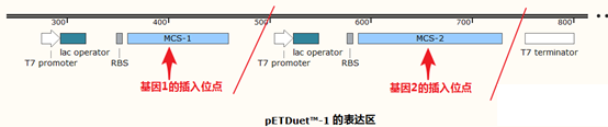 C:\Users\JinWa\AppData\Local\Microsoft\Windows\INetCache\Content.Word\1.png