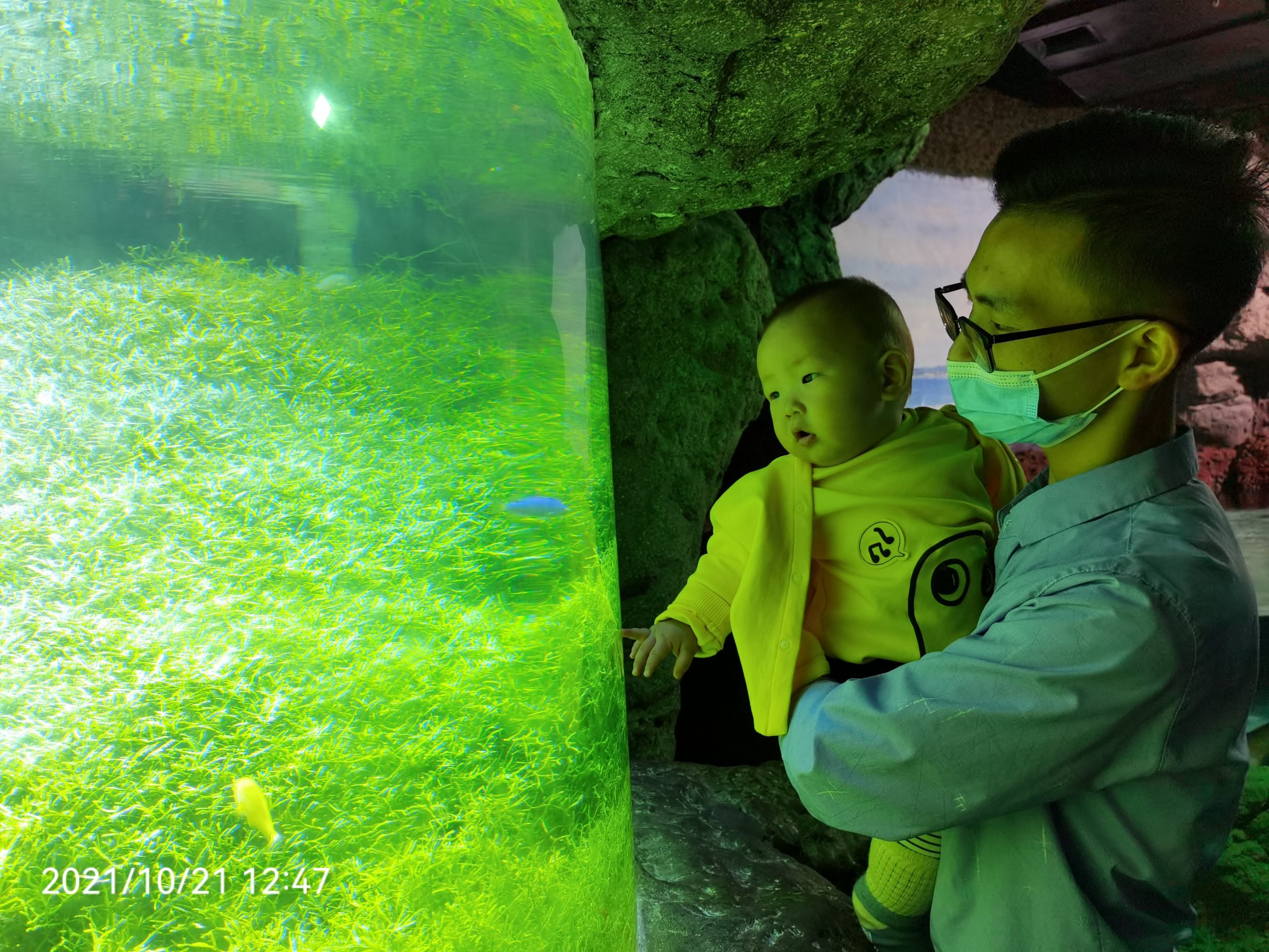享湖光山色，探海洋奥秘——杭州海底世界 - 知乎