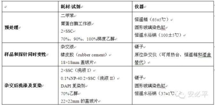 荧光原位杂交(FISH)样本处理标准方案系列(一)——常规石蜡包埋组织切片