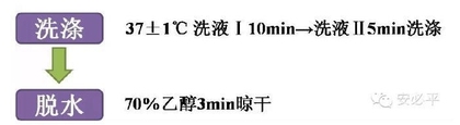 荧光原位杂交(FISH)样本处理标准方案系列(一)——常规石蜡包埋组织切片