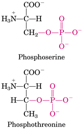 磷酸化分子式