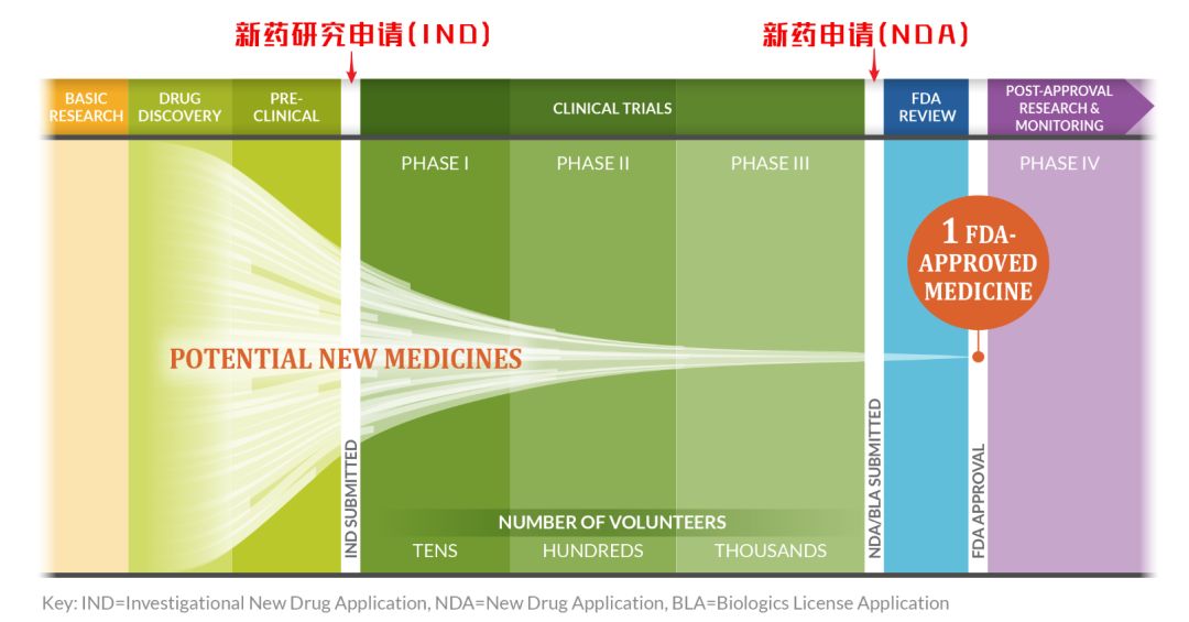 新药临床试验申请(简称IND)审评过程