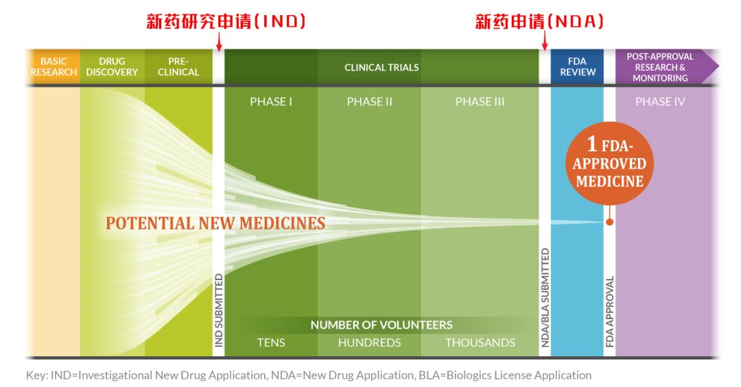 新药临床试验申请（简称IND）审评过程